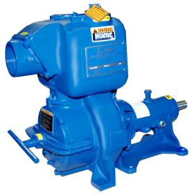 Gorman-Rupp 13A20-B pump